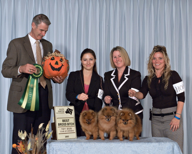 Judge John Cole gave us best Brood in Specialty Oct 2008